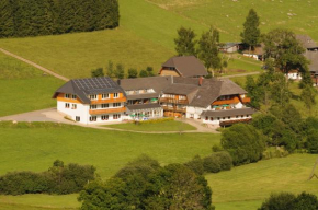 Отель Akzent Hotel Kaltenbach  Триберг